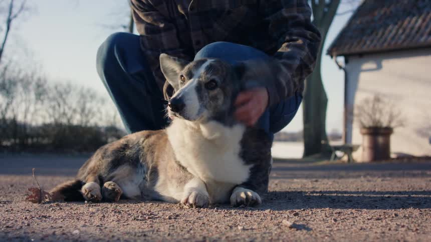 A person is petting a dog that is lying on the floor outdoors