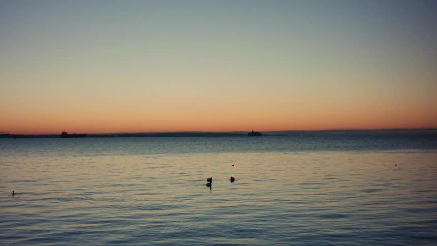 Bird flies over water near small group of water birds as boats float near the red tinted horizon