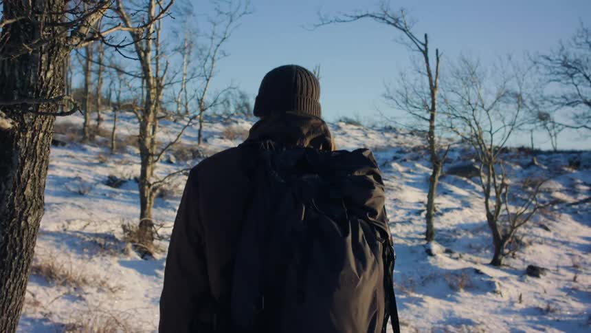 A clip of a person hiking a snowy woods