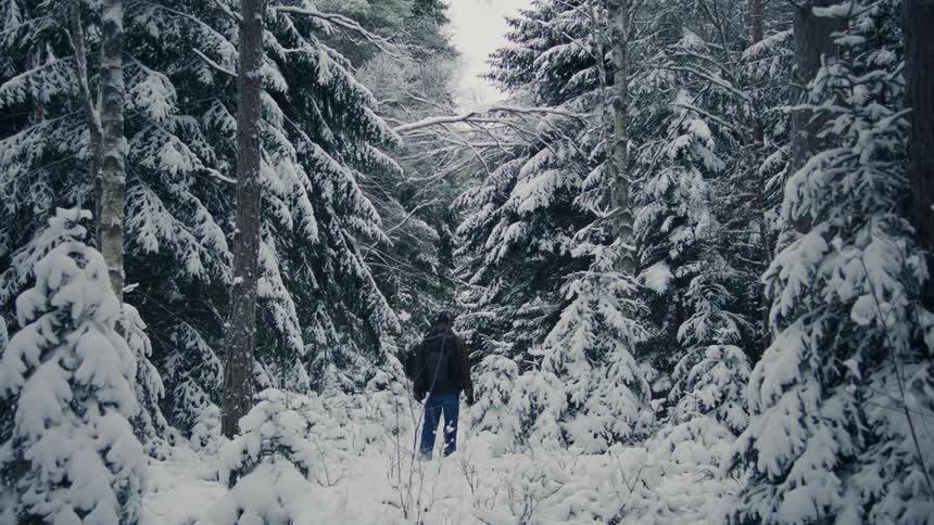 Man walking away through a snowcovered forest on a cloudy day