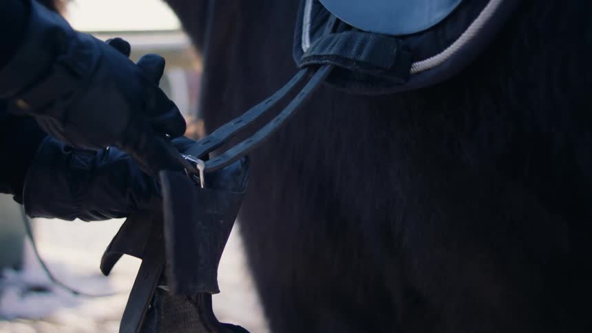 Close up of a cowboy adjusting the stirrup on a saddle