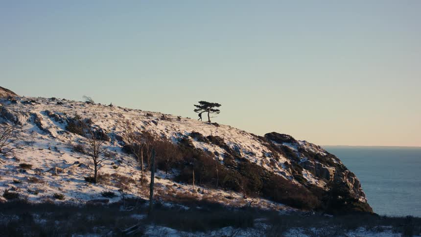 Backpacker stands near tree on snow covered promontory