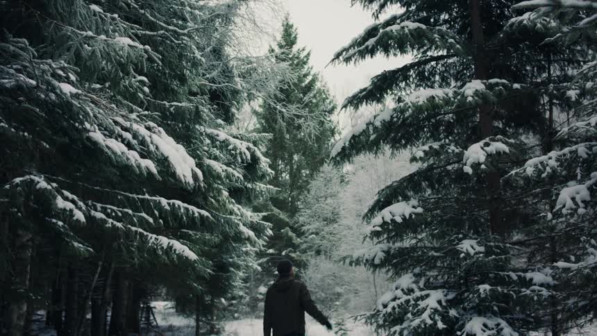A person walking through the snowcovered forest during a blizzard