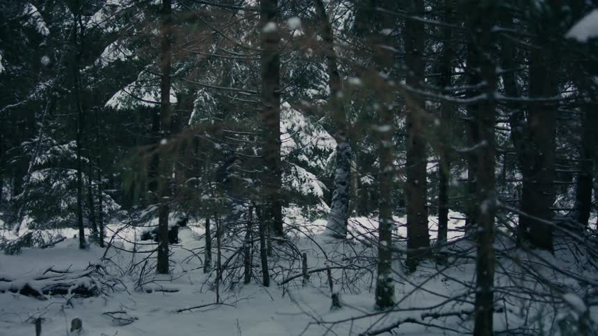 A man walking outdoors in a forested area on a snowy day