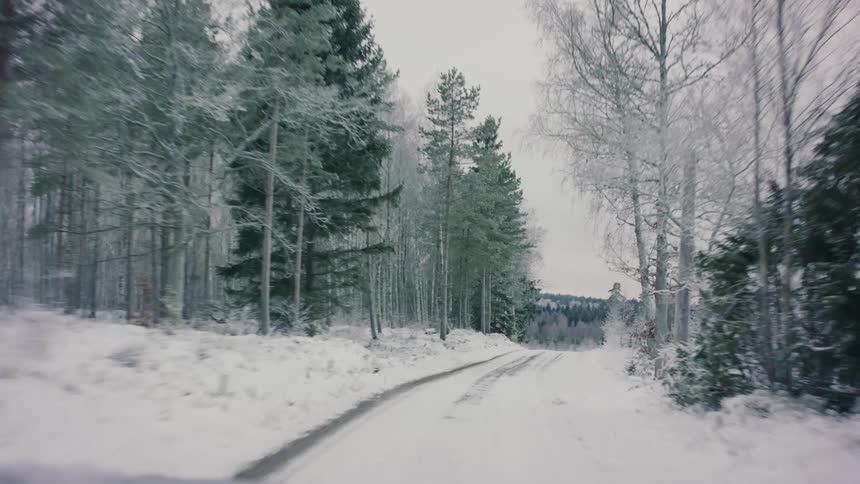 View of a dirt road through a snowcovered forest on a cloudy day