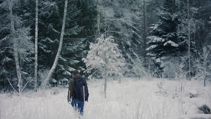 A person with heavy clothing is walking in the snow heading towards a forest