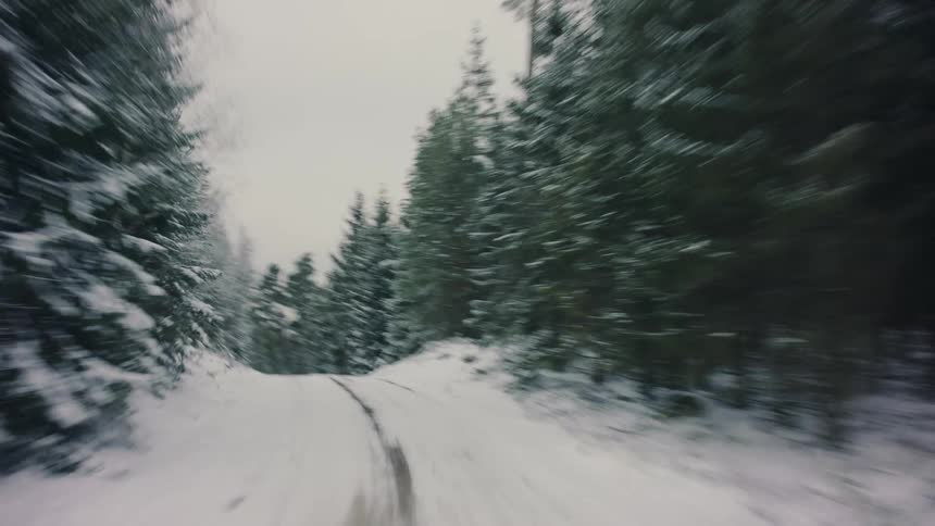 View of a road through a snowcovered forest on a cloudy day