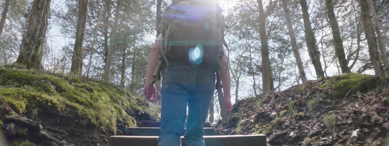 Hiker climbs the wide steps of a trail through woods on a sunny day