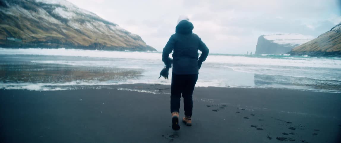 Playing with a dog by the sea on an arctic beach