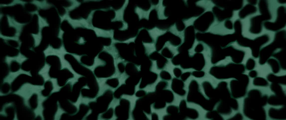Densely packed black dots moving over green background