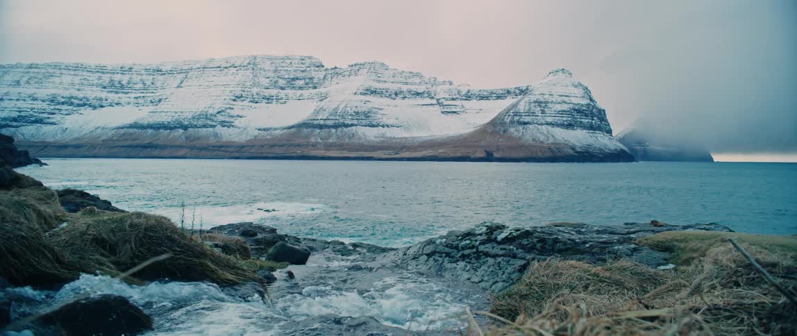 Coastal beach with snowcapped mountains