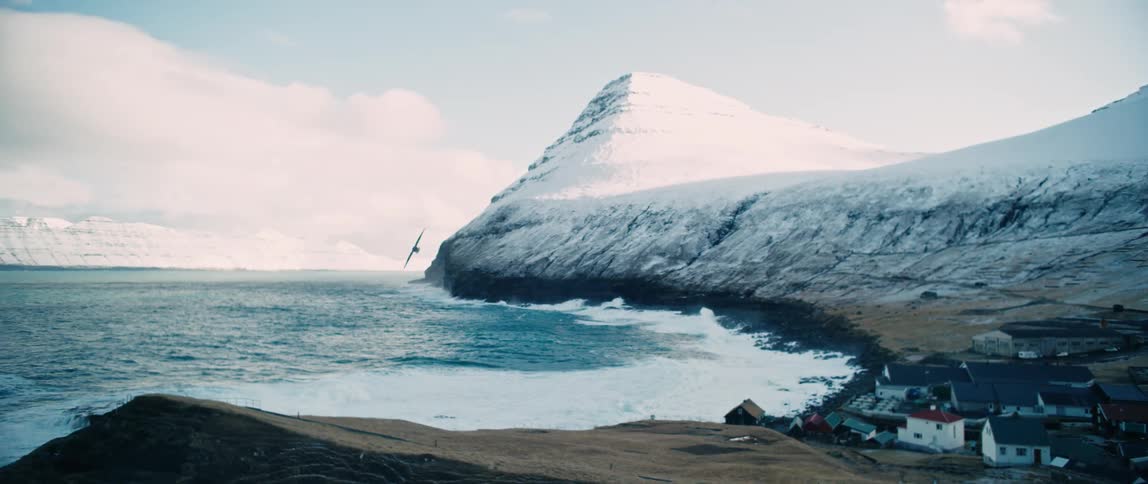 A bird flying through the coastal city between snowy mountains