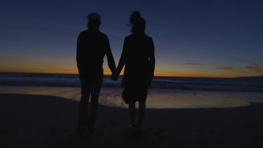 A silhouette of two people holding hands who are standing on a beach looking at the sea
