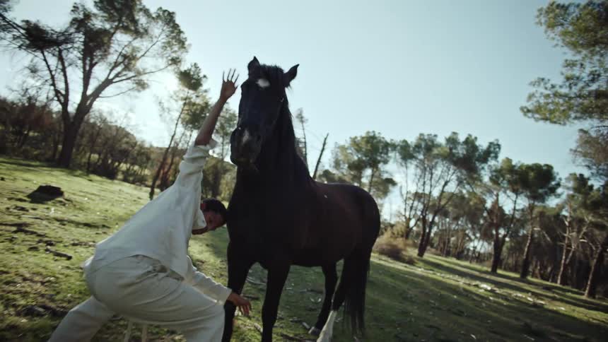 A man dancing beside a horse on the field
