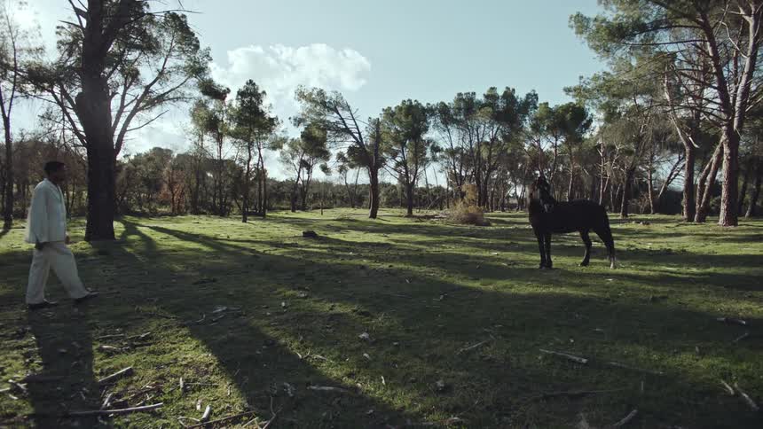 Latin man walking in a forest  to a black horse