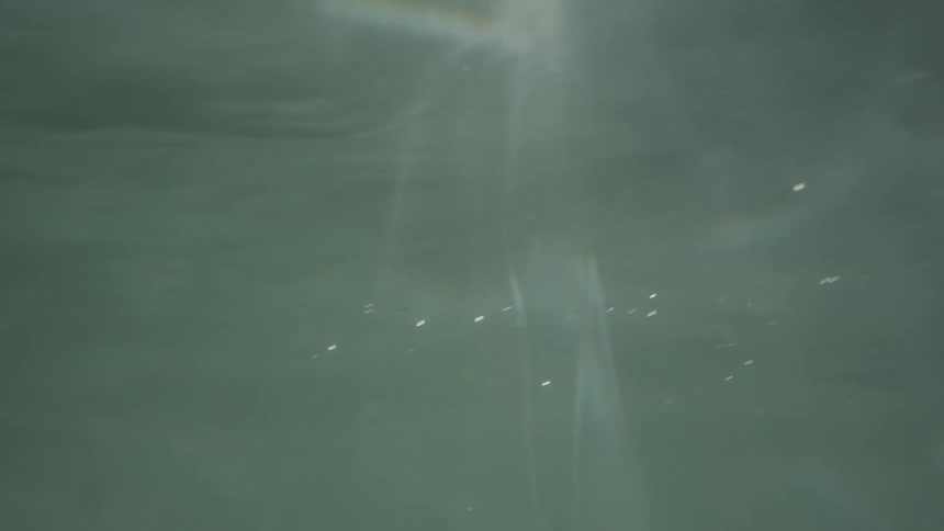 Rays of sunlight shine through surface of water under a blue sky