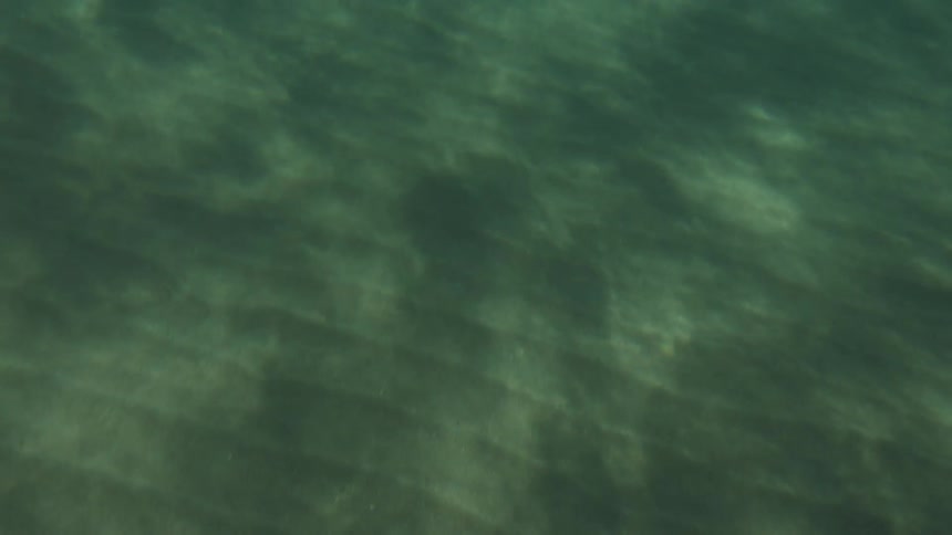 The sea floor is full of sand