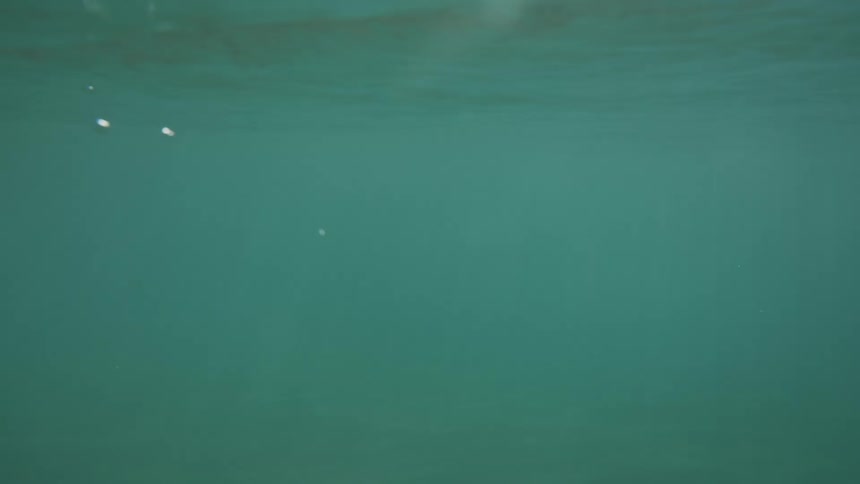 A clip under the sea