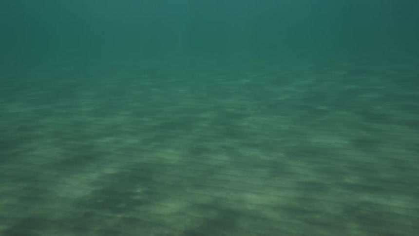 The sun reflects on the ocean