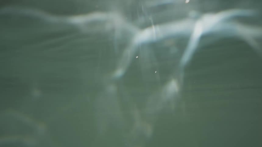The sunlight reflects underwater