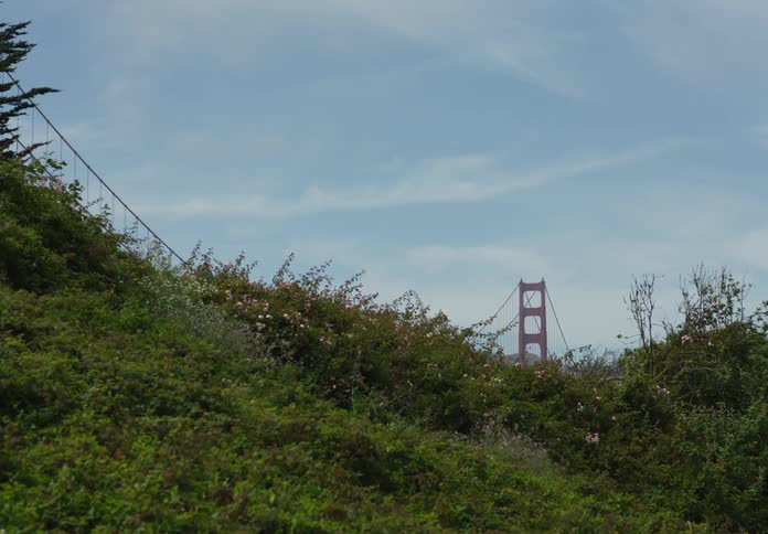 View of grass and shrubs with a red bridge in the background