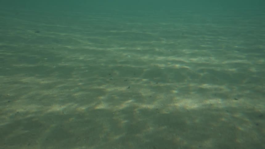 View from inside the sea with turquoise blue water and sunlight reflection