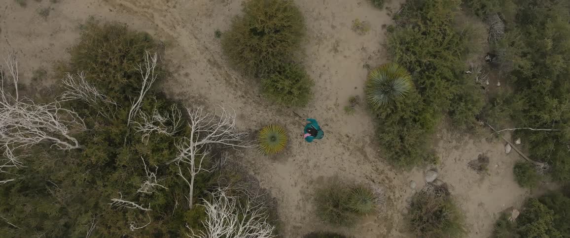 An aerial clip of a person hiking the woods