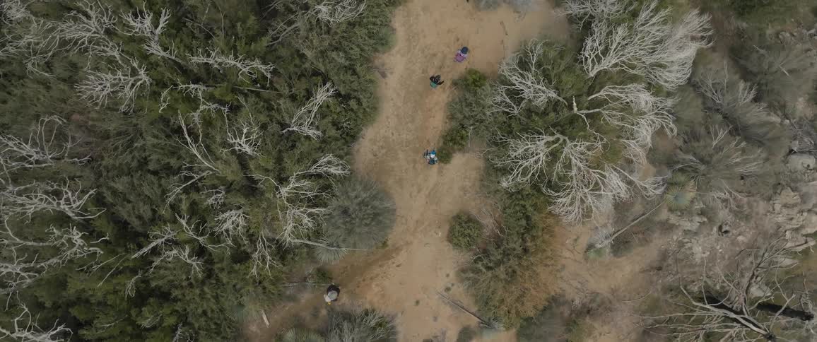 A group of hikers walking a path across the woods