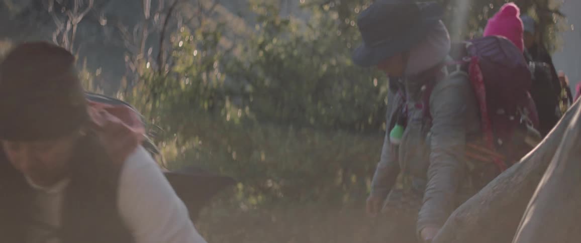 A group of people hiking in the woods