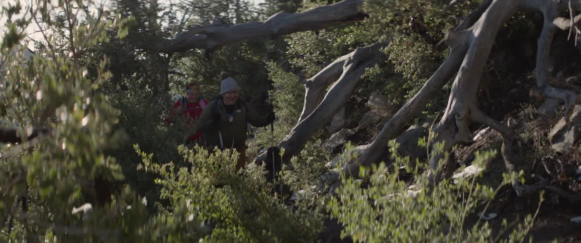 A pair of women hike uphill as one uses poles to help herself