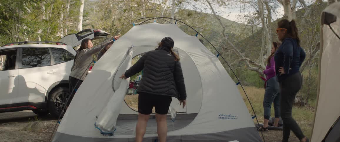 A group of friends set up camping tents in the forest
