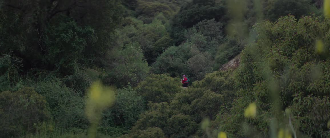 View of a forest on a mountain with a woman hiking