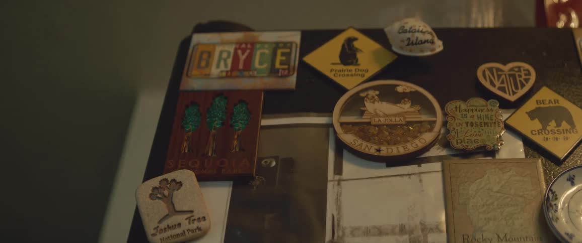 Closeup of a variety of magnets on a board