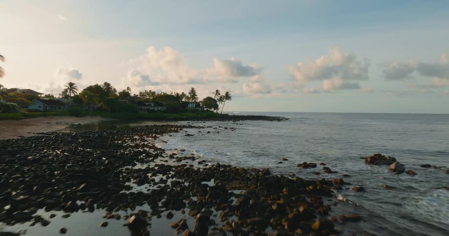 View of a beach with tropical flora calm sea on a morning sky day
