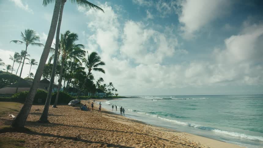 People walking on the coast of a tropical beach
