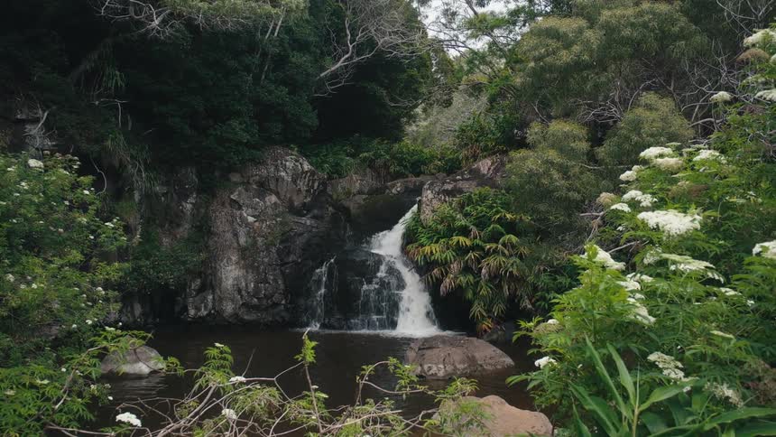 A forest waterfall pours into a lake