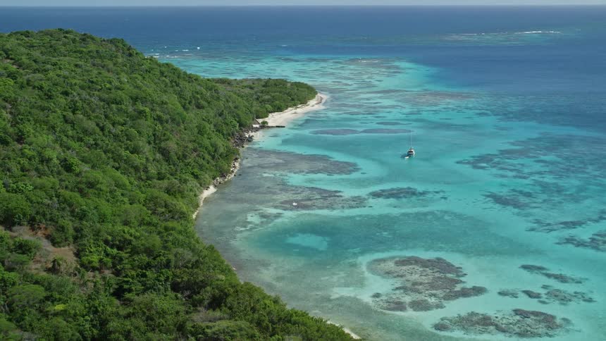 Yacht with rowboat sits anchored off forested shore in light blue water