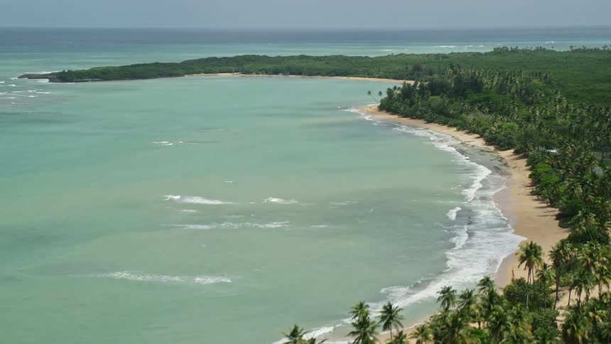 Aerial view ocean bay and palm tree grove