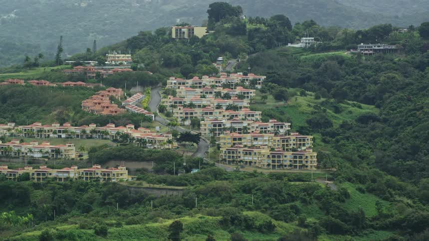 A residential area with several houses on top of a hill full of trees