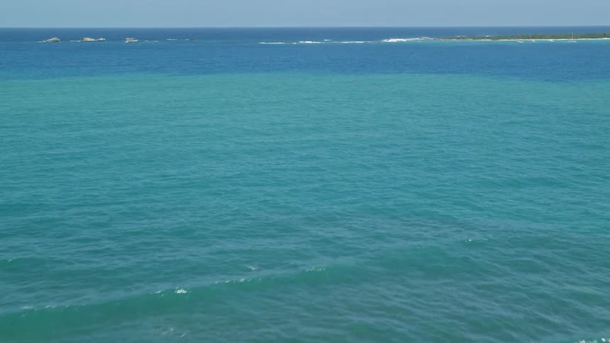 Aerial view of green coastal area near ocean during the day