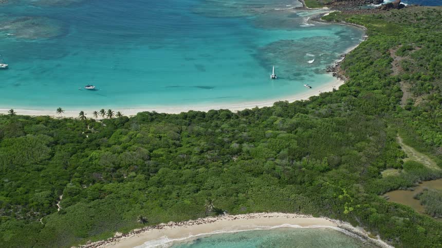 Aerial view of ocean cove and tropical landscape during the day