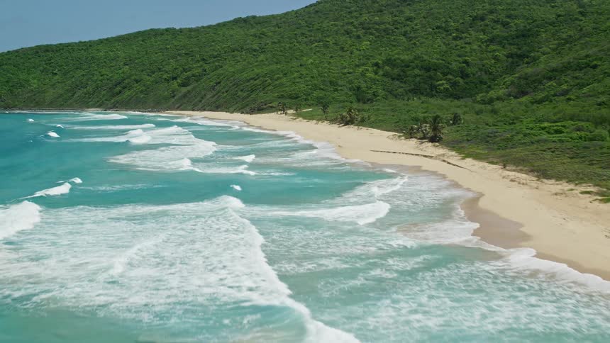A beach with lots of waves crashing on the shore and a hill with lots of green leafy trees