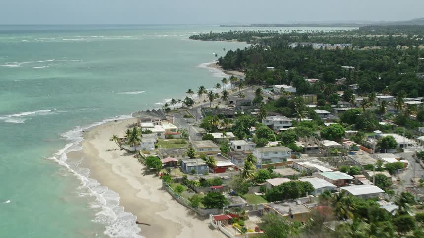 Aerial view of suburban area with buildings and houses surrounded by trees next to the ocean during day time