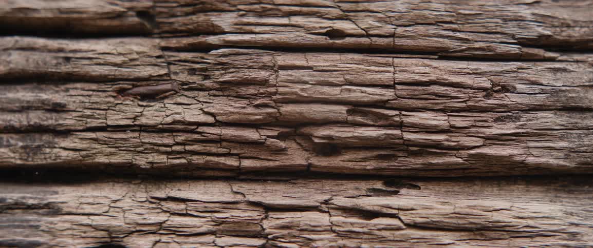Closeup of aged and weathered wood
