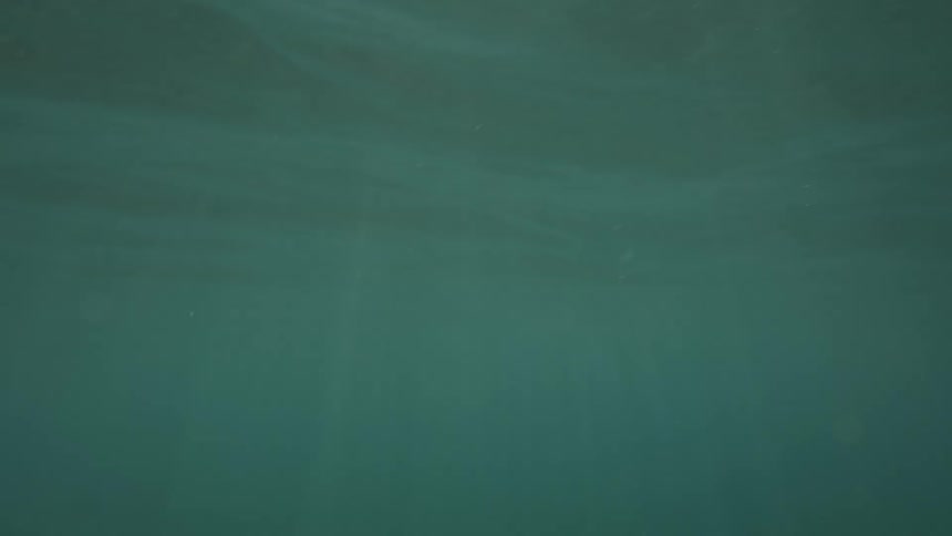 View inside the turquoise blue sea with sunlight reflection