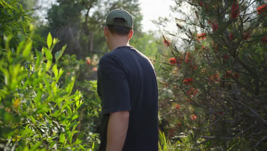 A man walks through the woods