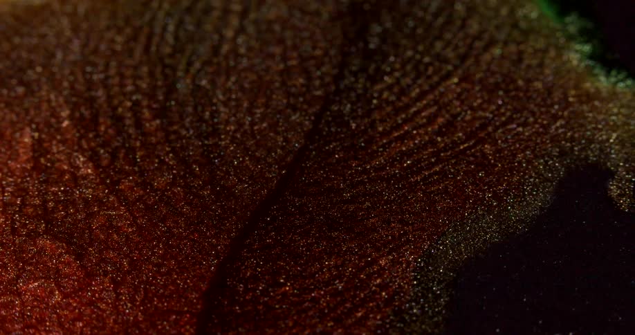 Extreme closeup of an abstract and glowing fluid in motion