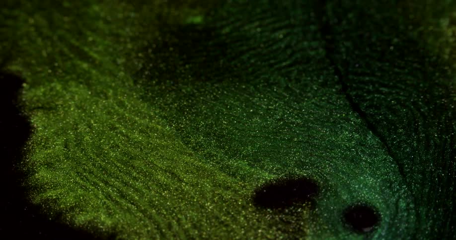 A view of inks shimmering outdoors