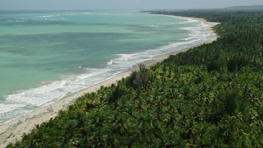 Aerial panorama of tropical vegetation by a turquoise blue beach