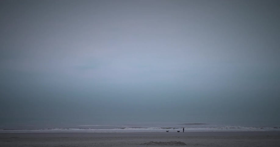 A person walking two dogs on a beach